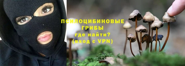 метадон Беломорск