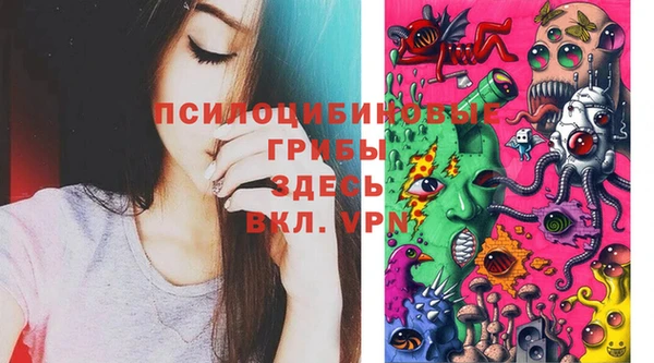 прущие крисы Белоозёрский