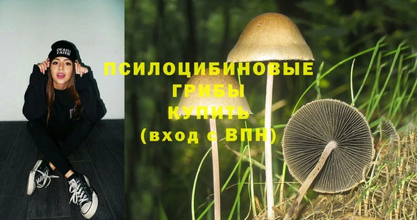 МДПВ Белокуриха
