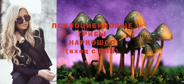МДПВ Белокуриха