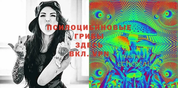 МДПВ Белокуриха