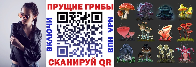 Купить закладки  Сыктывкар  Галлюциногенные грибы прущие грибы 